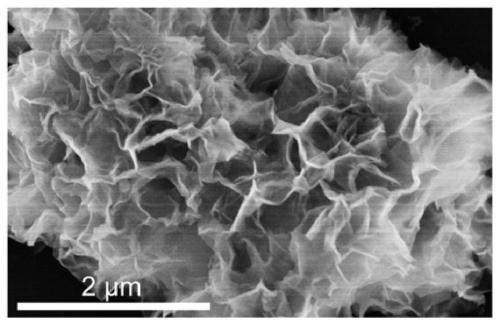 Multistage carbon nanostructure anchored Ni-N4 monatomic catalyst as well as preparation method and application thereof