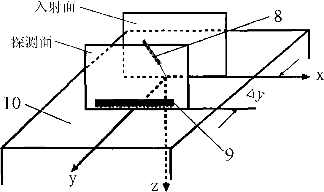 Apparatus and method for nondestructive optical constant imaging of dermatosis tissue of human body