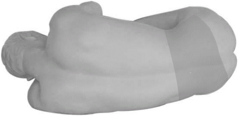 Lumbar puncture virtual simulation and training system supporting haptic interaction