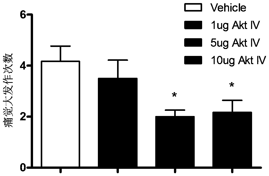 Novel use of Akt IV