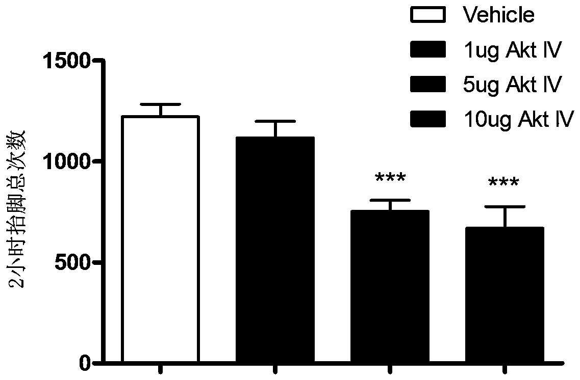 Novel use of Akt IV