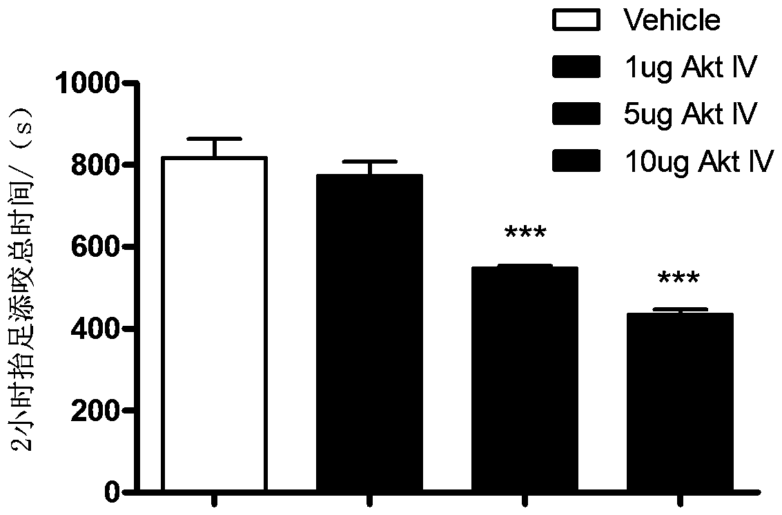 Novel use of Akt IV