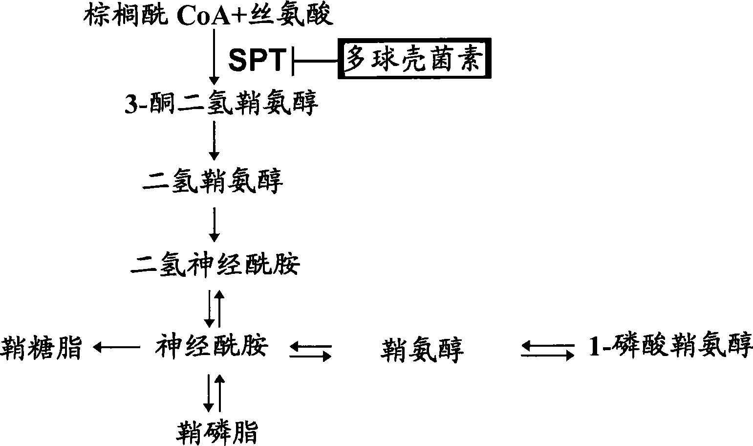 Pharmaceutical composition for treating or preventing hcv infection