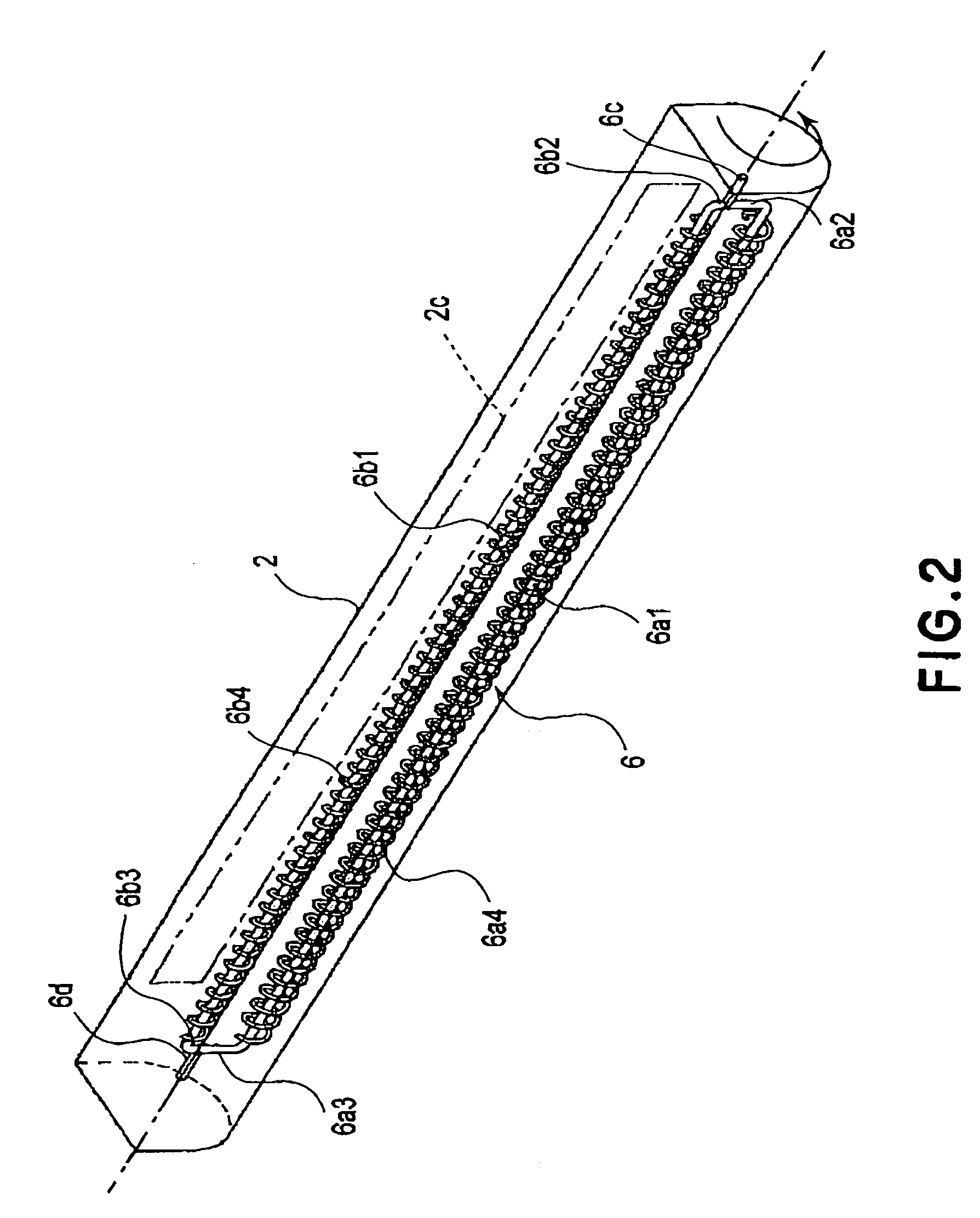 Developing apparatus