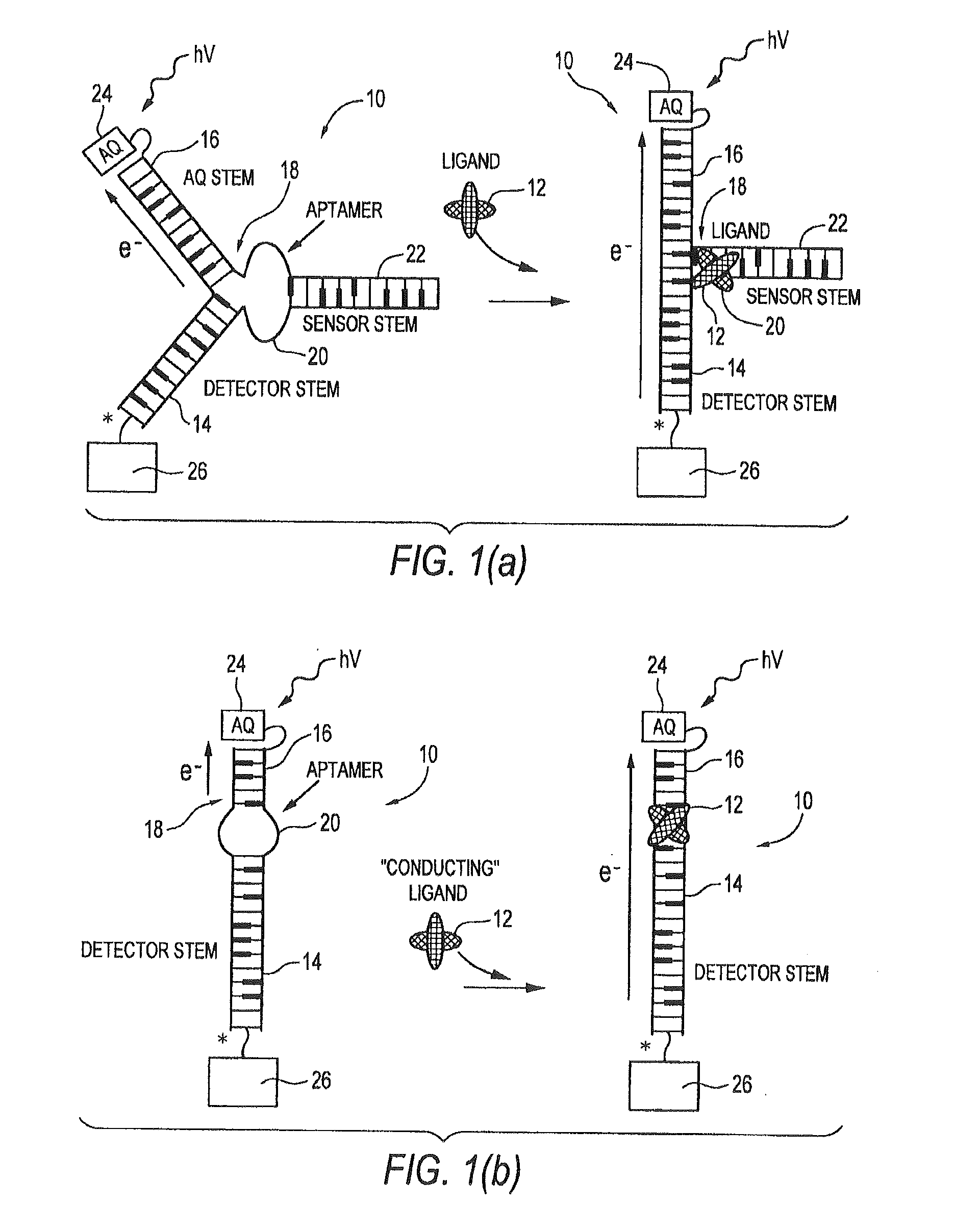 DNA and RNA conformational switches as sensitive electronic sensors of analytes