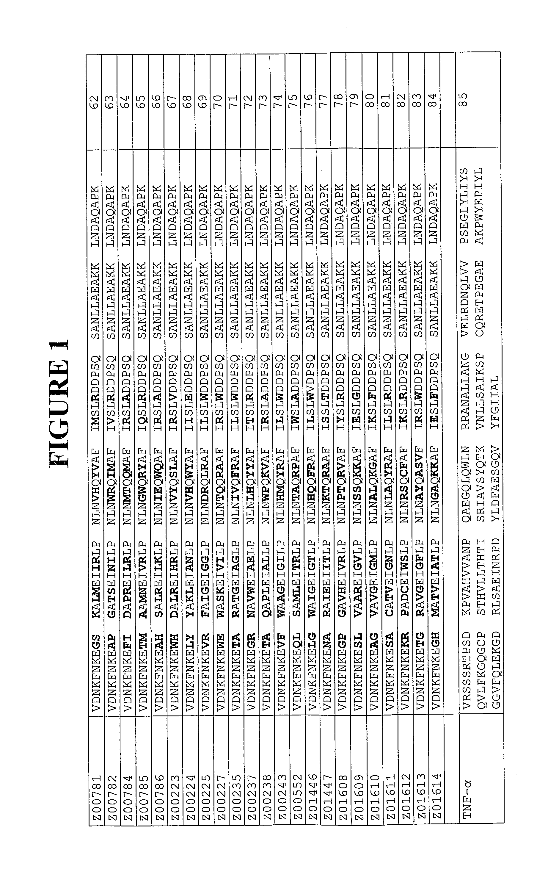 New Polypeptides, uses thereof and methods employing it