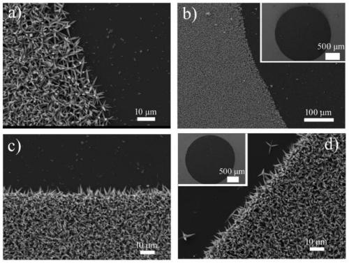 Applicable method for growing patterned ZnO nanostructures on different substrates