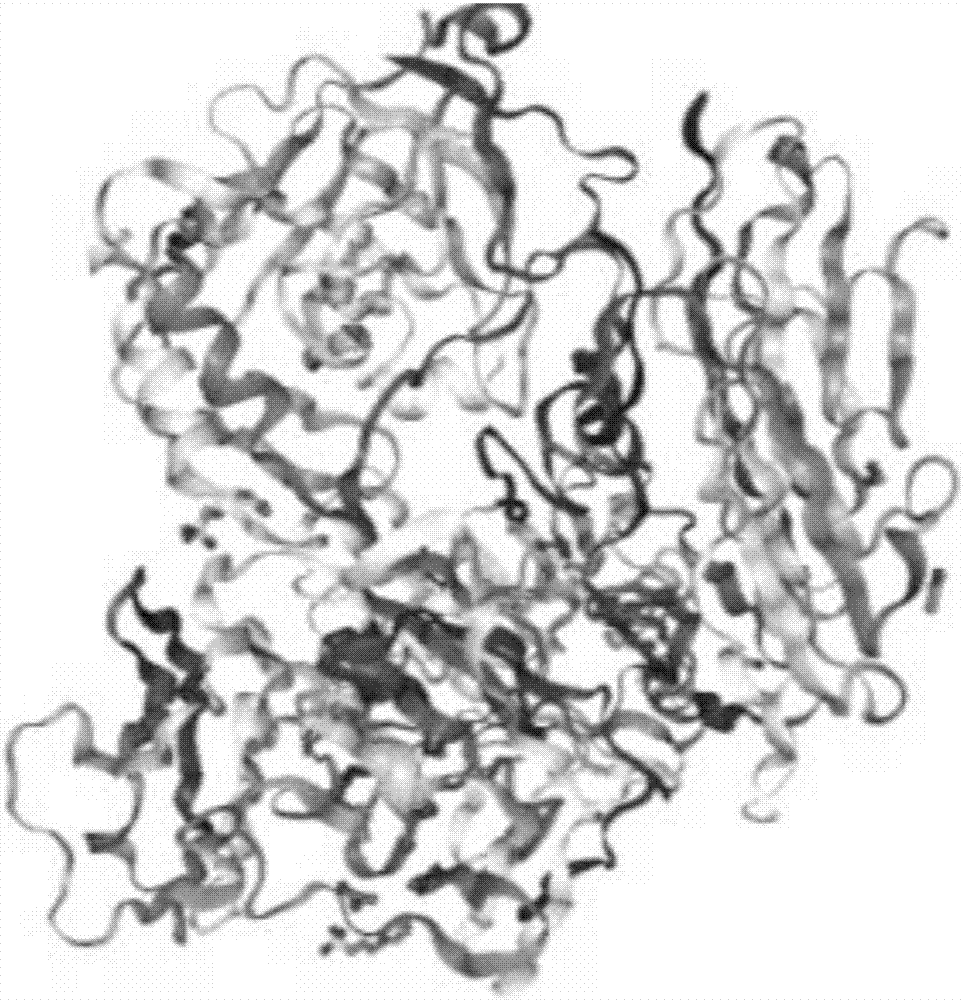 Antigen and antibody of neural recognition molecule contactin 6 and application thereof