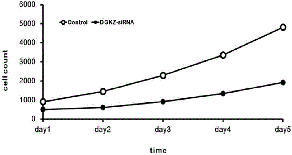 Applications of human DGKZ gene and related drugs thereof