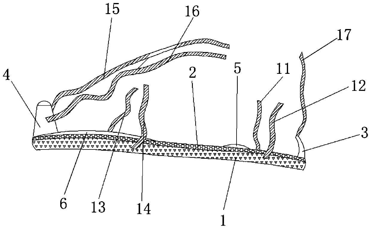 Traditional Chinese medicine insole for treating calcaneodynia