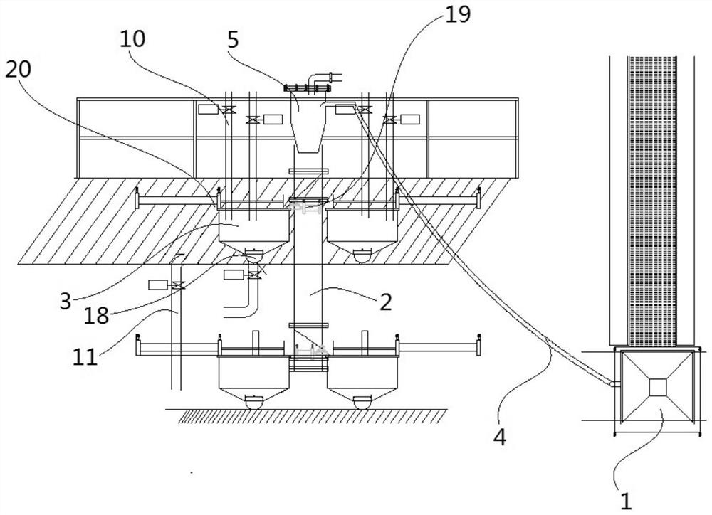 Soaking and conveying system for walnut kernels