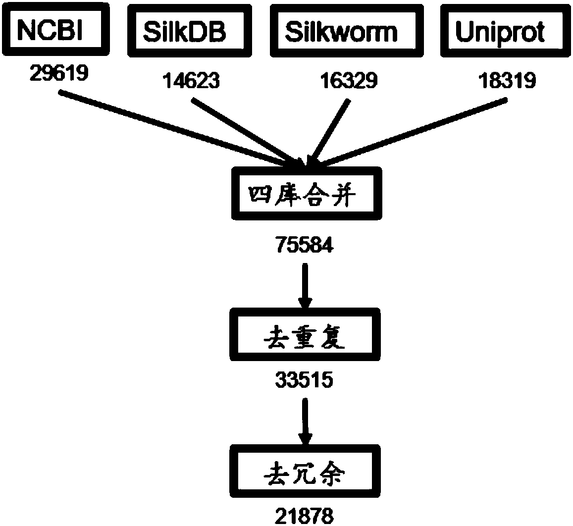 Method for carrying out large-scale proteomics identification based on silkworm tissue sample