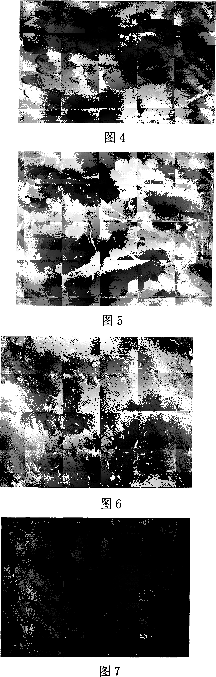 Extraction method of japan wax, japan wax composite nano material and preparation method