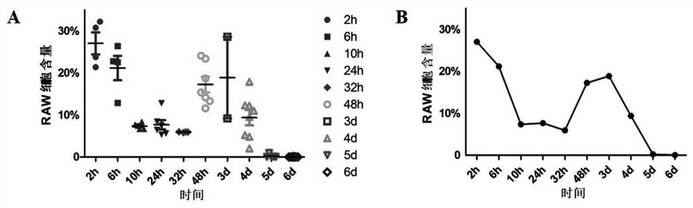 Application of macrophages in obesity treatment and blood sugar regulation