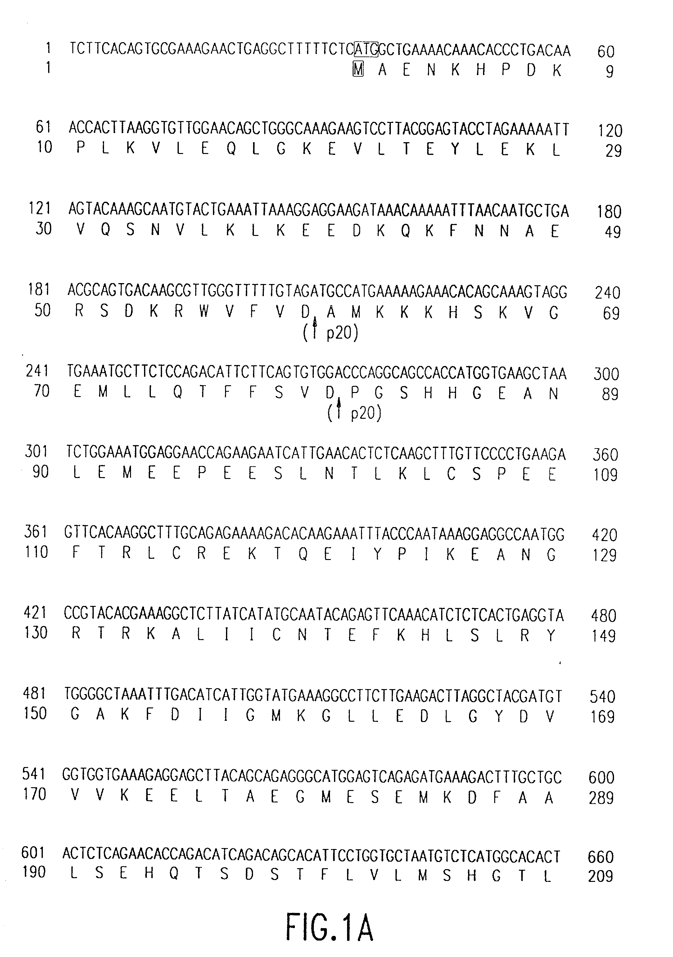 Programmed cell death and Ich-3