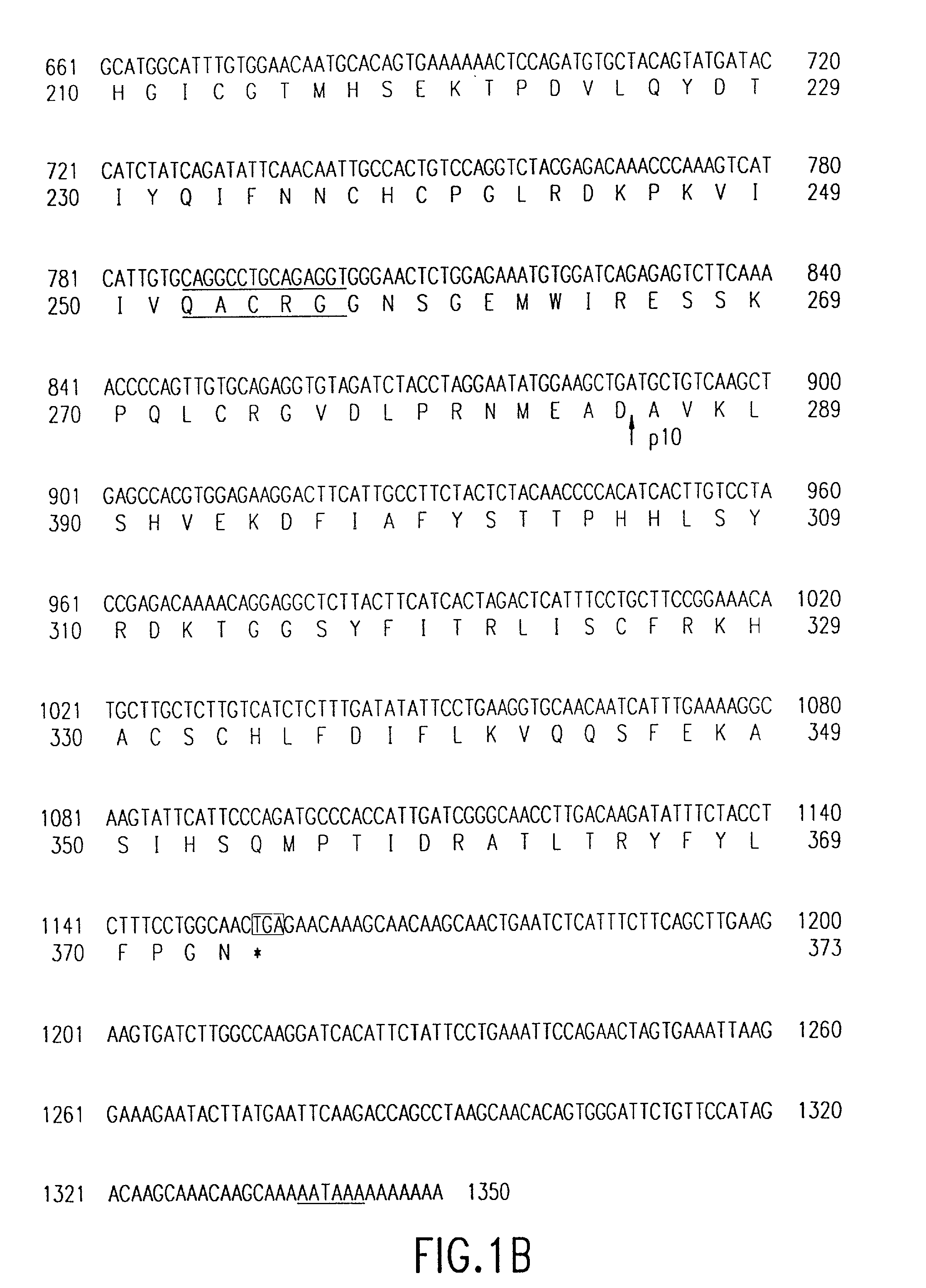 Programmed cell death and Ich-3