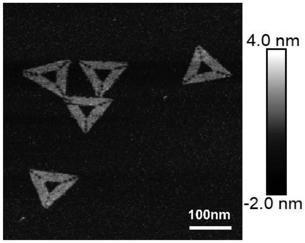 DNA (deoxyribonucleic acid) nano system for tumor targeting as well as preparation method and application of DNA nano system