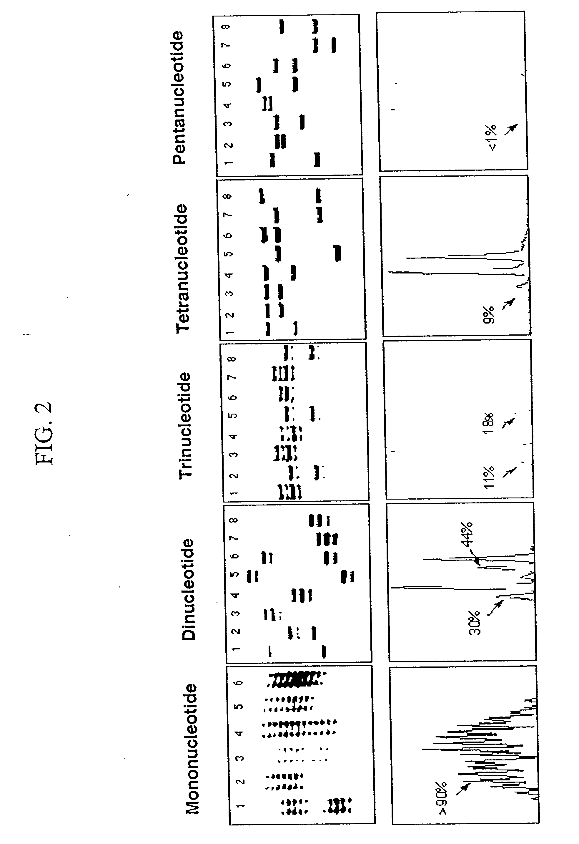 Detection of microsatellite instability and its use in diagnosis of tumors