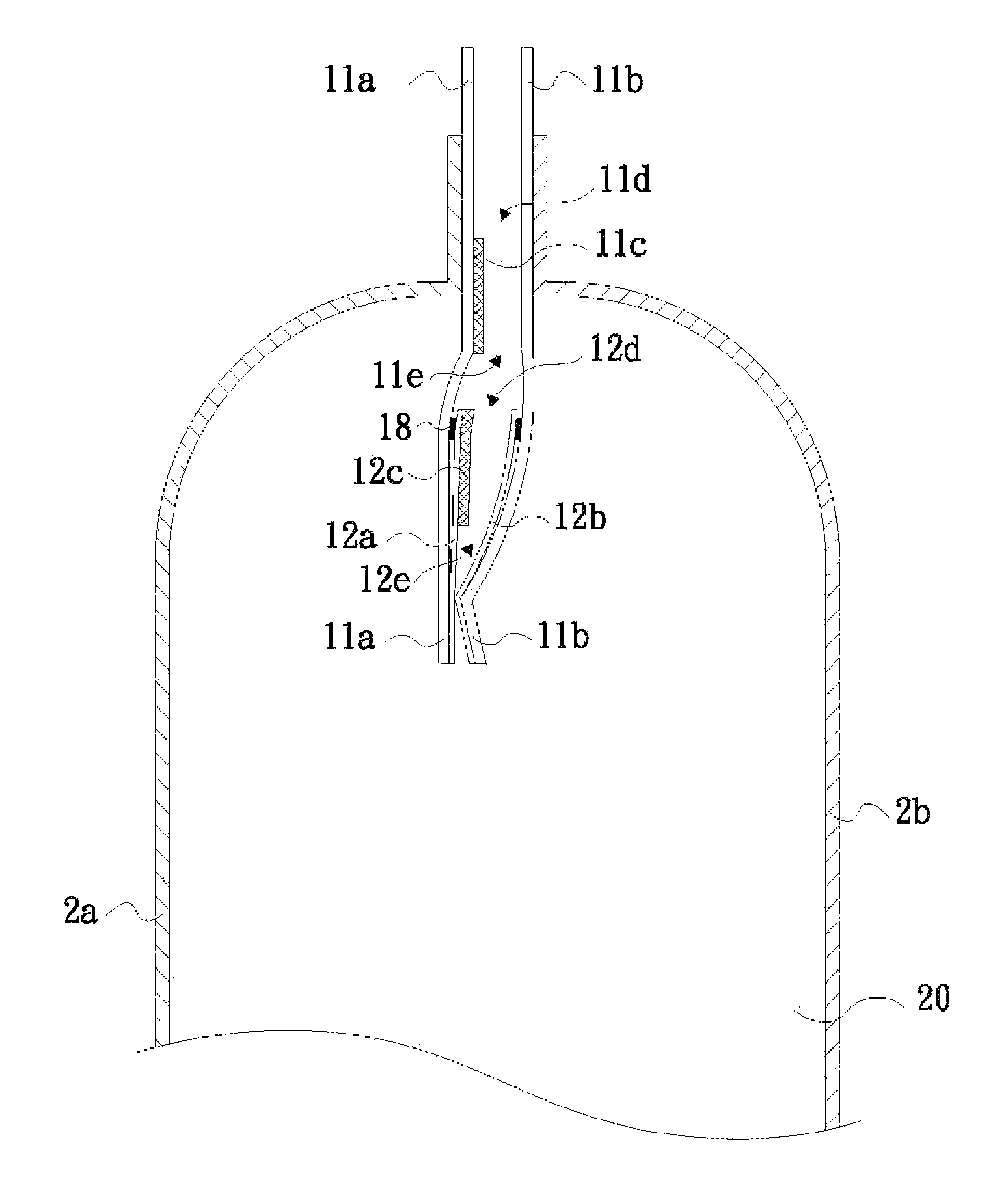 Air enclosure and check valve thereof capable of being filled with high pressure air