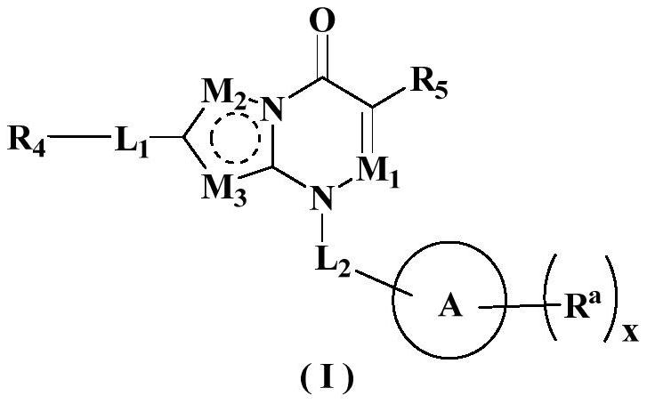 Nitrogen-containing ring derivative inhibitor as well as preparation method and application thereof