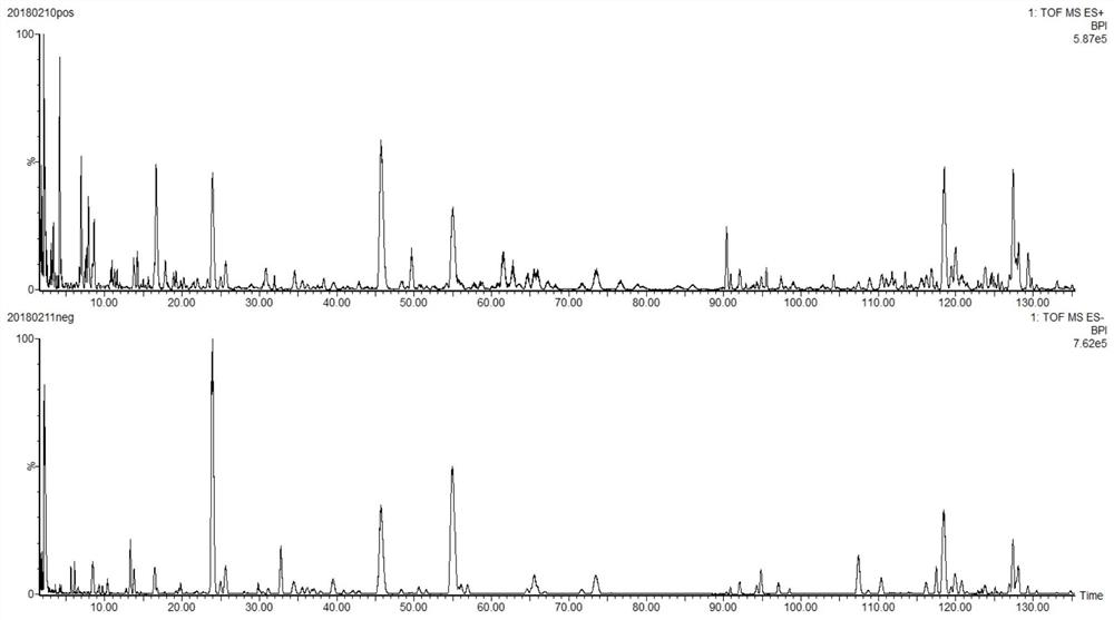 Fresh elm leaf aqueous extract powder as well as preparation, antithrombotic effect and application thereof