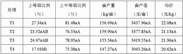 An improved method of tobacco cultivation under film