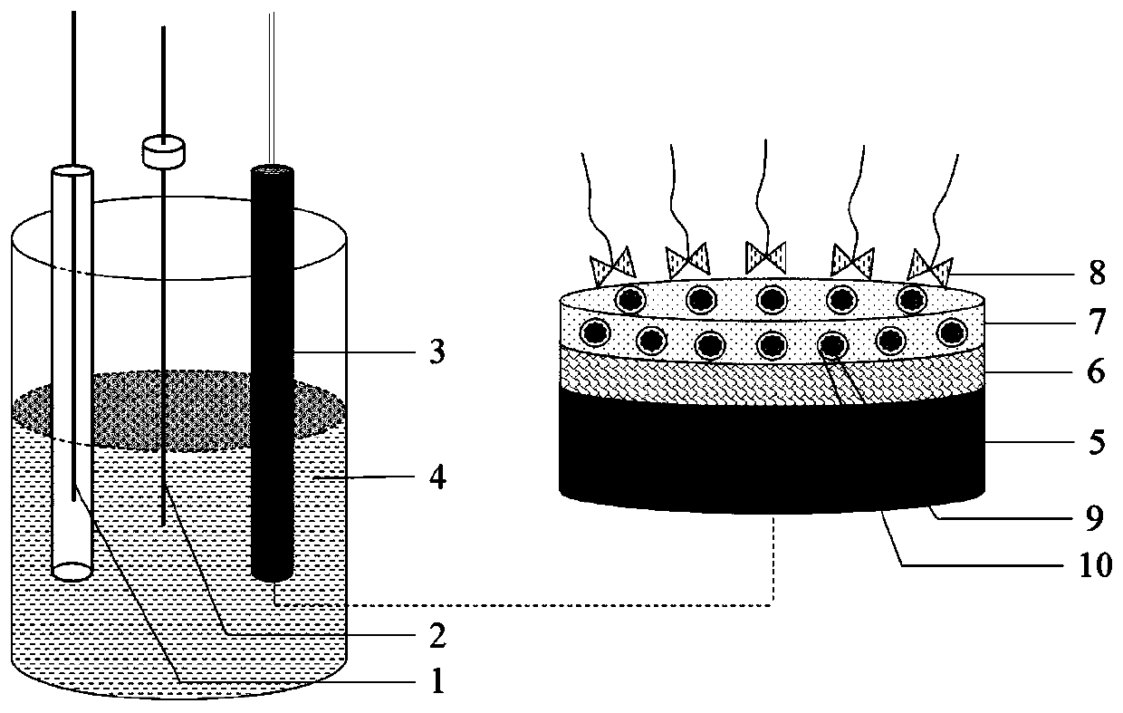 Detection method and detection sensor for phenylethanolamine A on the basis of composite membrane modification electrode