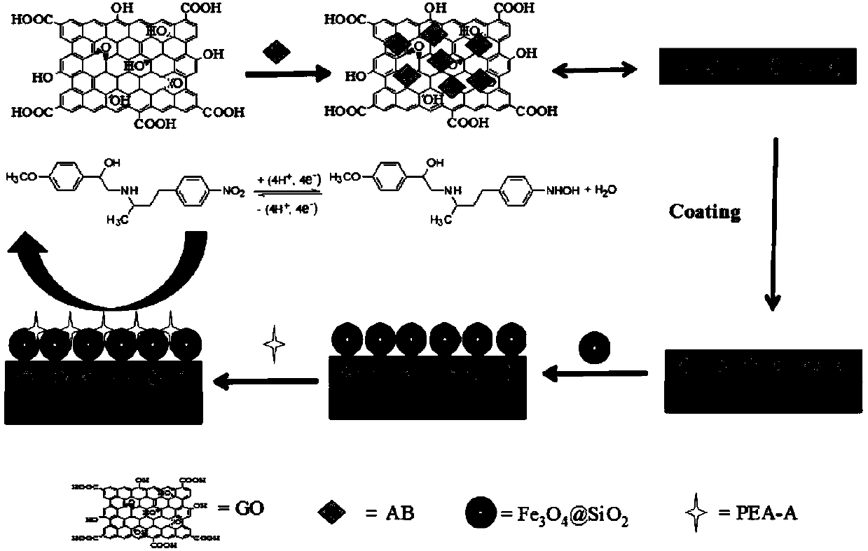 Detection method and detection sensor for phenylethanolamine A on the basis of composite membrane modification electrode