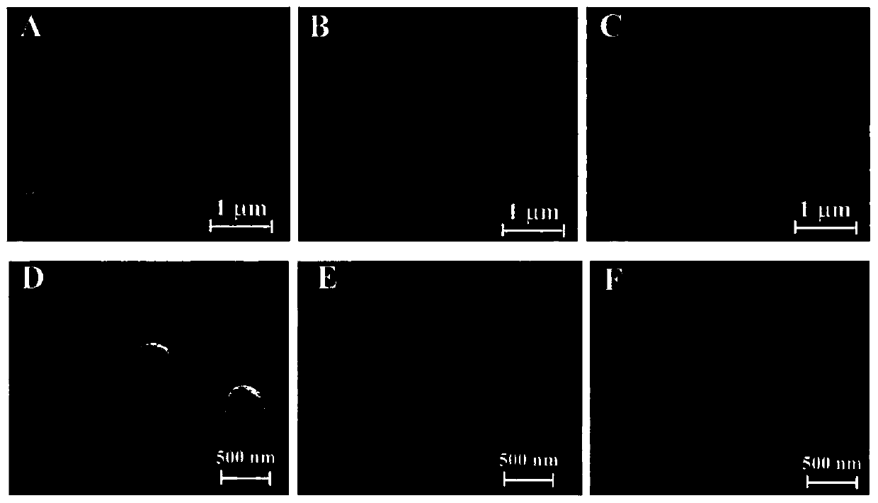 Detection method and detection sensor for phenylethanolamine A on the basis of composite membrane modification electrode