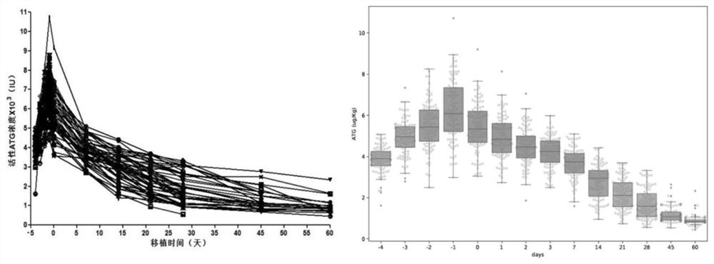 Method for calculating individualized dosage of ATG for haploid hematopoietic stem cell transplantation