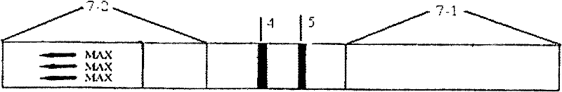 Kit and method for detecting beta-lactam antibiotics