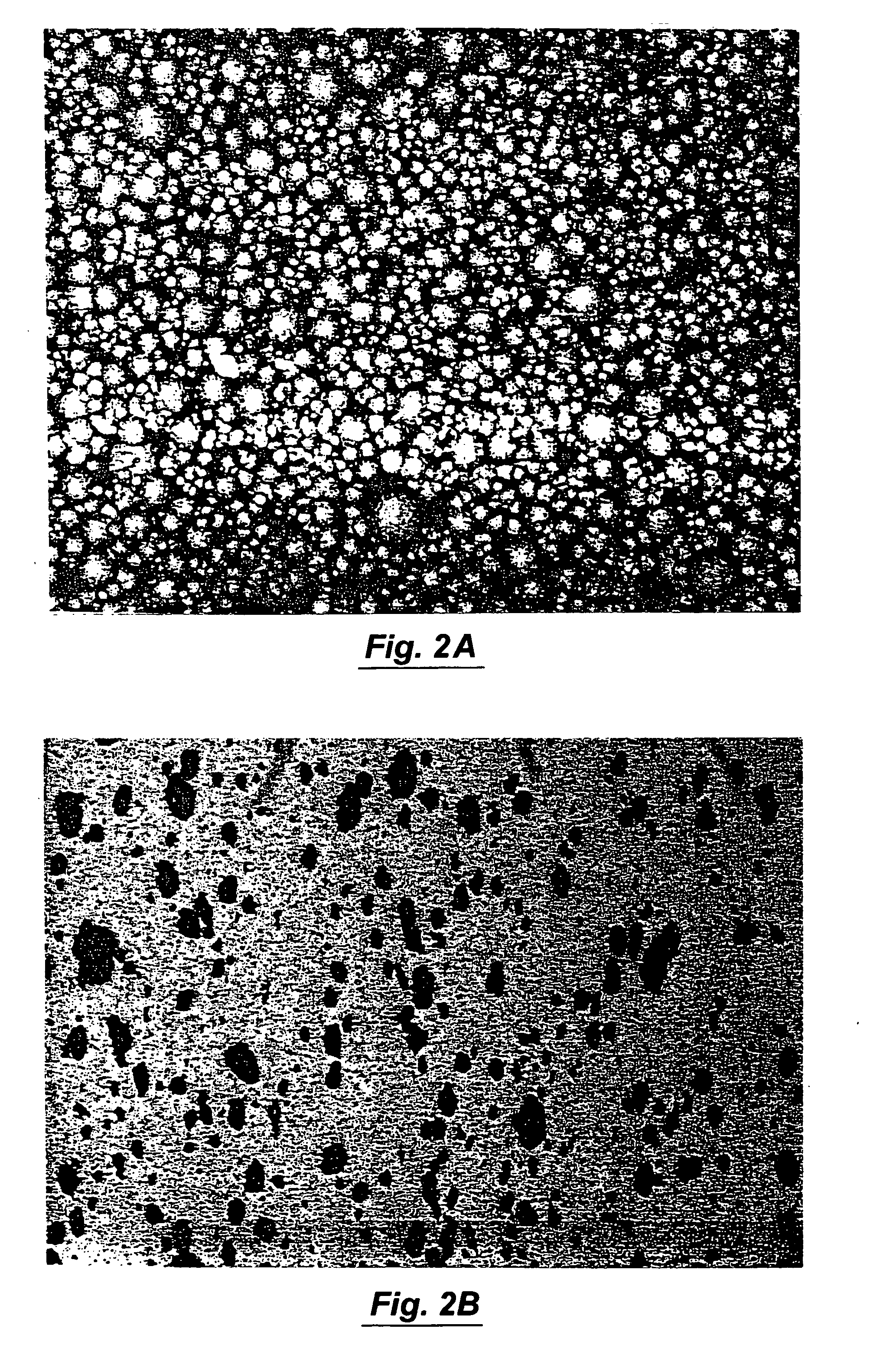 Graphite loaded silicon carbide and methods for making