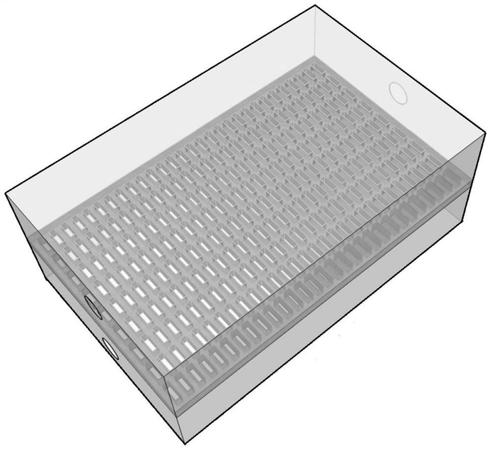 Cell screening method and system based on immunomagnetic bead labeling