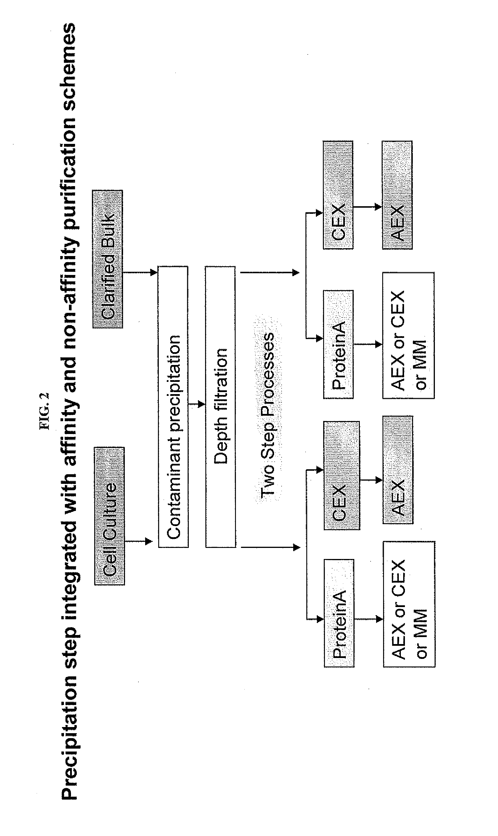 Protein purification by caprylic acid (octanoic acid) precipitation