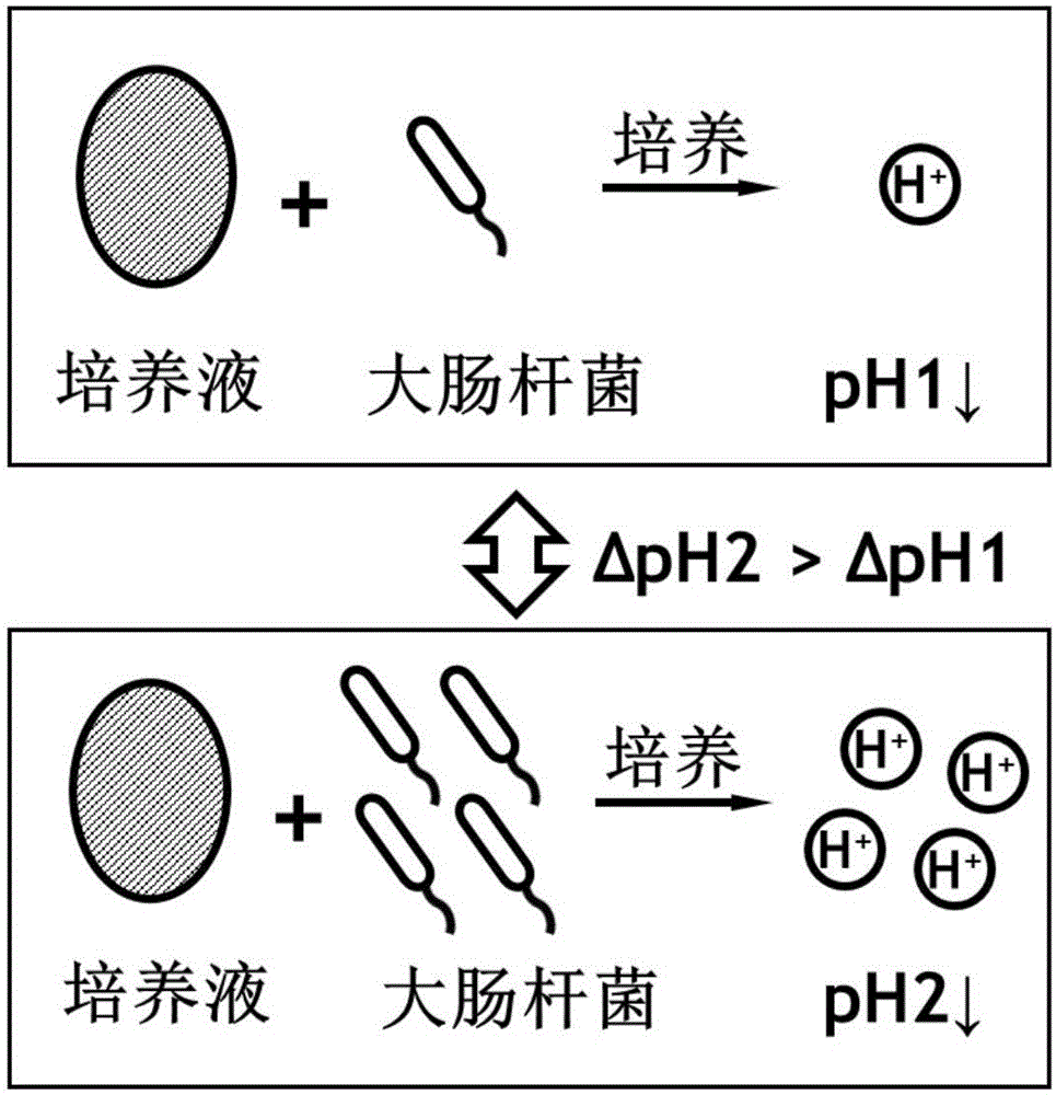 High-sensitivity pH value biosensor chip