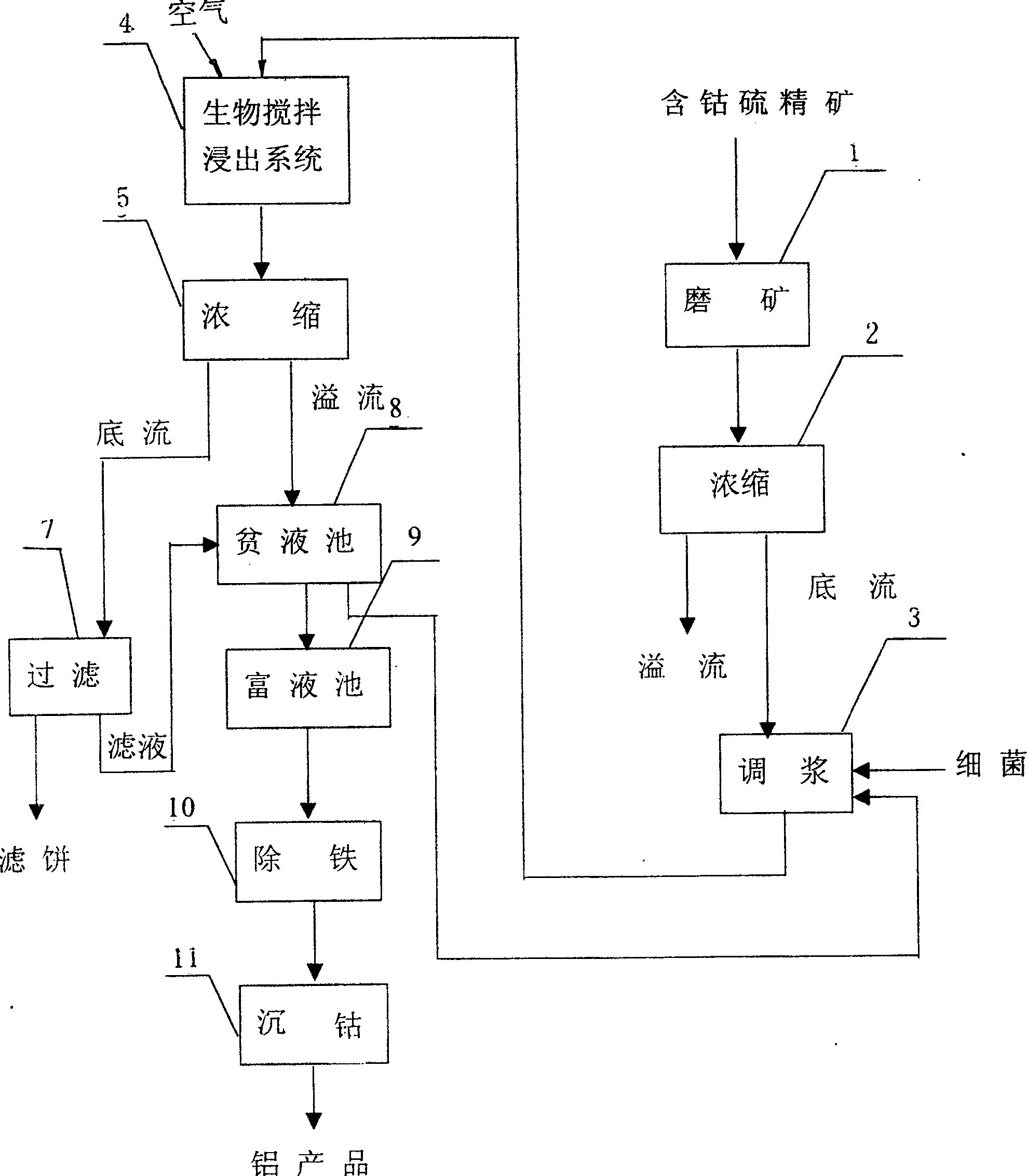 Biological stirring cobalt-dipping technique for concentrate containing cobalt and sulfur