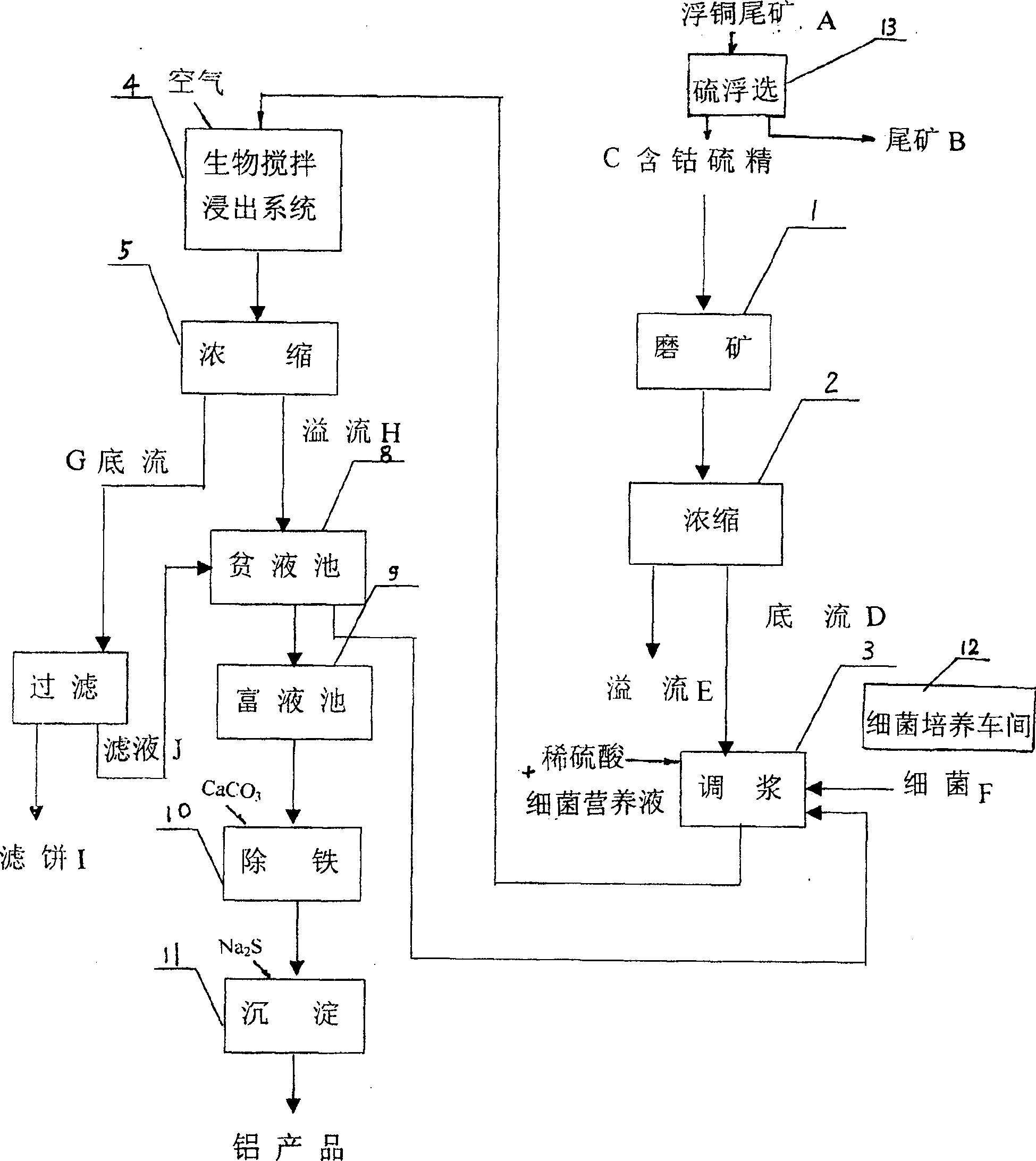 Biological stirring cobalt-dipping technique for concentrate containing cobalt and sulfur