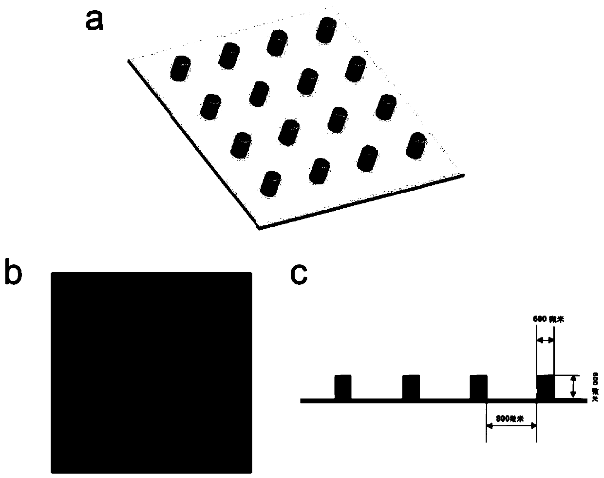 Preparation method and application of 3D print microacupuncture needle paster