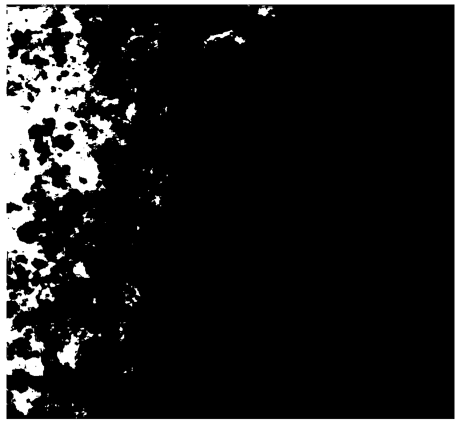 Nano zinc-cobalt alloy coating based on double-pulse electrodeposition and preparation method of nano zinc-cobalt alloy coating