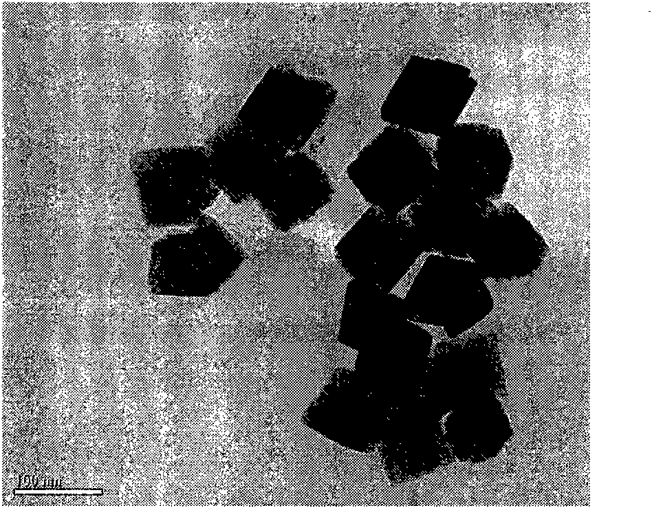 Method for synthesizing monodisperse samarium-doped rare earth cerium oxide nanocrystal