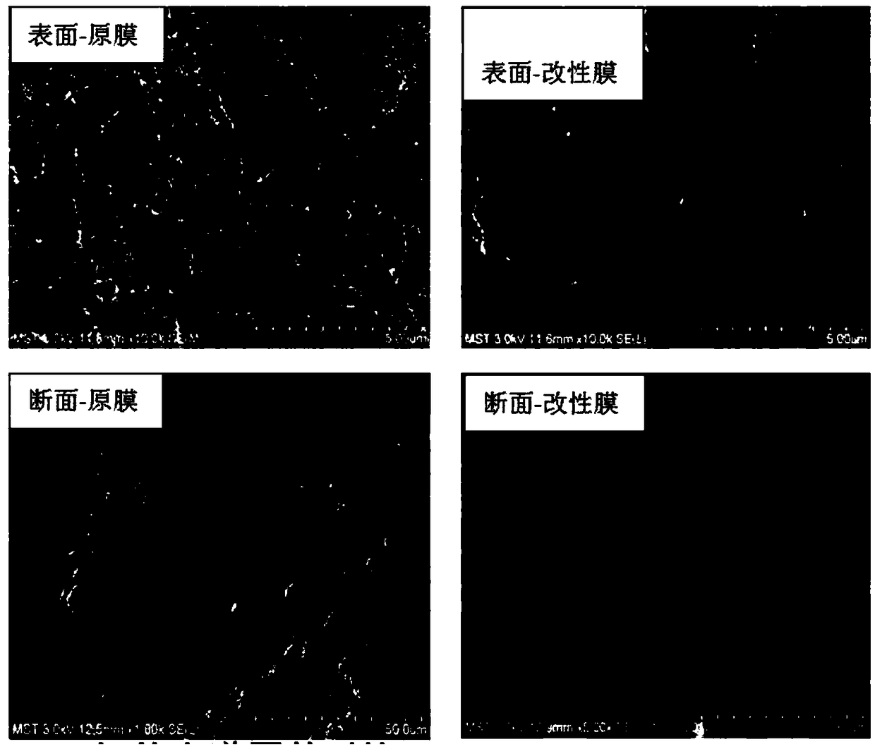 Hollow fiber polymer membrane, preparation method of hollow fiber polymer membrane and application of hollow fiber polymer membrane to brine refining