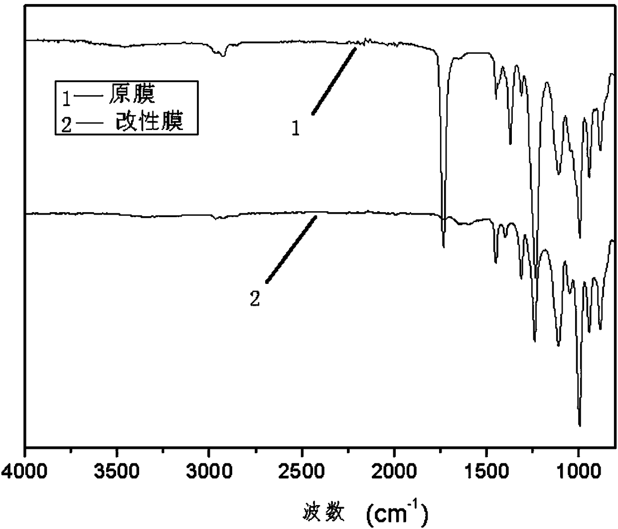 Hollow fiber polymer membrane, preparation method of hollow fiber polymer membrane and application of hollow fiber polymer membrane to brine refining