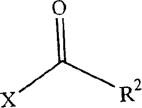 Functionalized elastomer nanocomposite