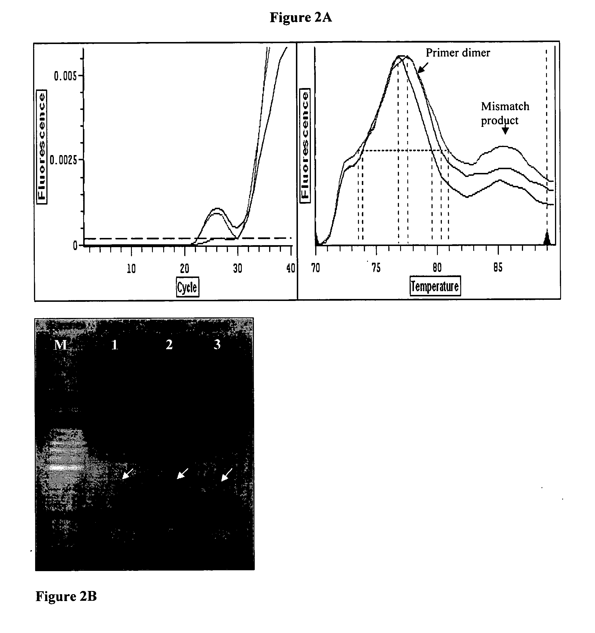 Detection and distinguishing infections bursal disease virus (IBDV) strains by molecular biology method