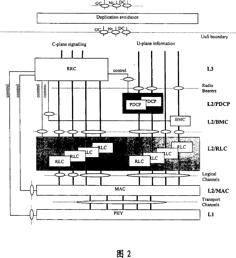 Wireless network communication apparatus