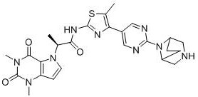 Pyrrolopyrimidine compound, isomer or salt, and preparation method and application thereof