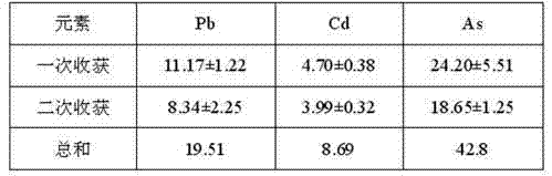 Method for repairing soil polluted by heavy metal in situ by mixed planting of plant