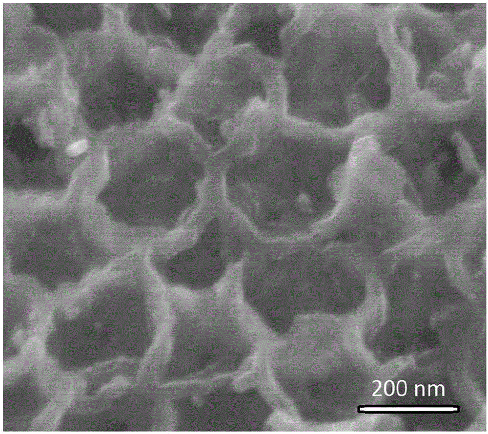 Synthetic method of material with palladium particles loaded on three-dimensional macroporous molybdenum dioxide