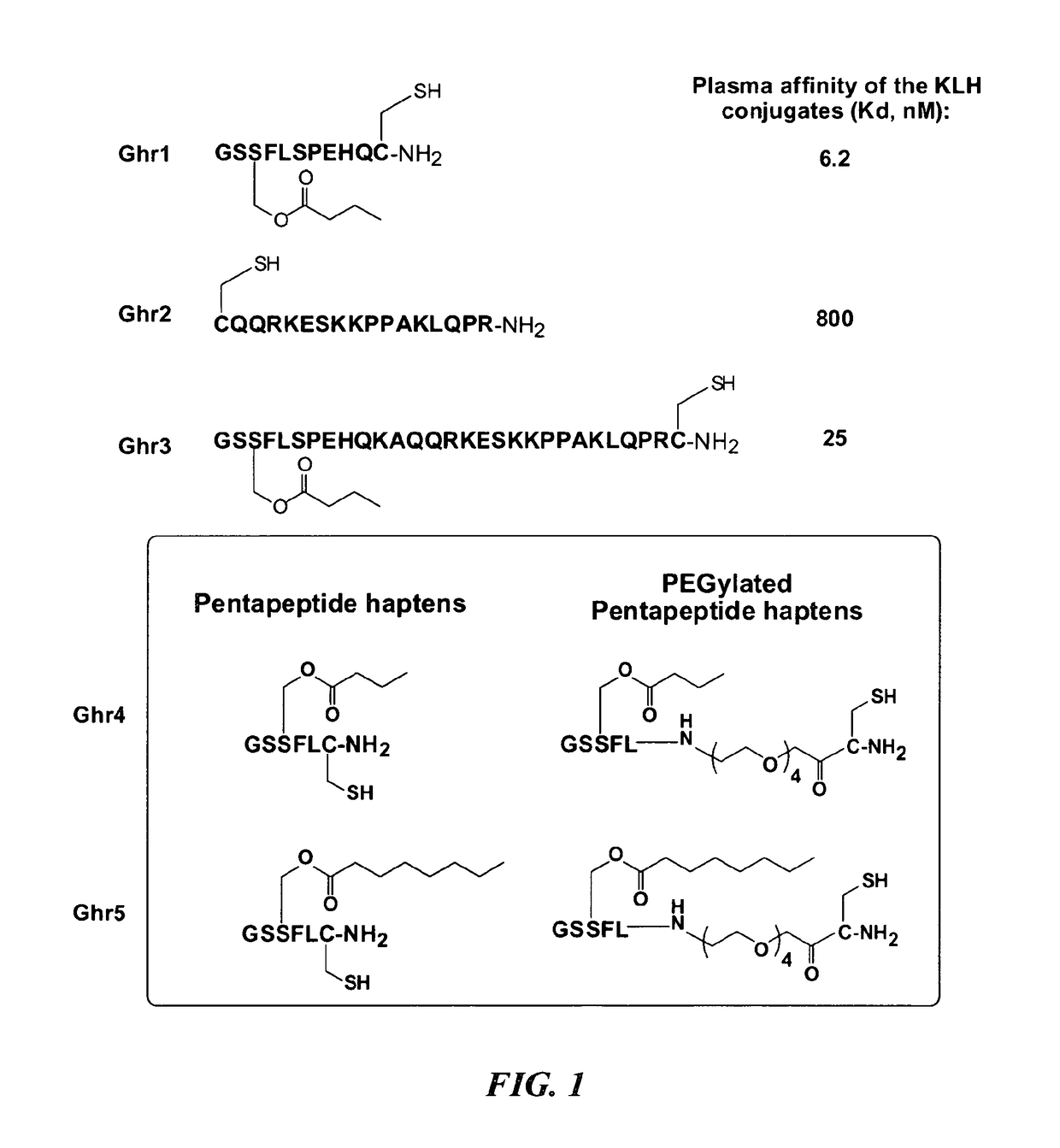 Ghrelin mimetic polypeptide hapten immunoconjugates having improved solubility and immunogenicity and methods of use thereof