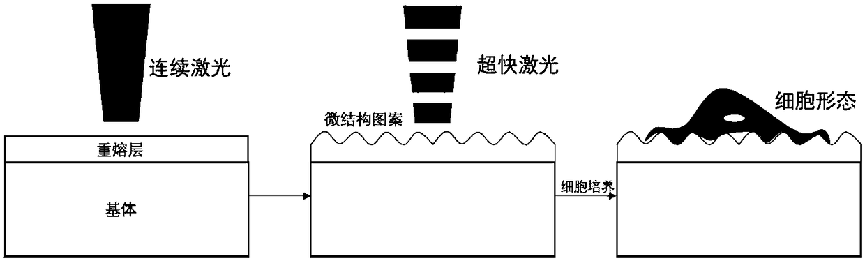 Laser treatment method for improving biocompatibility of magnesium alloy